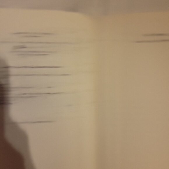 Pearl The Obsessions & Passions of Janis Joplin Biography 1992 by Ellis Amburn - Picture 9 of 9